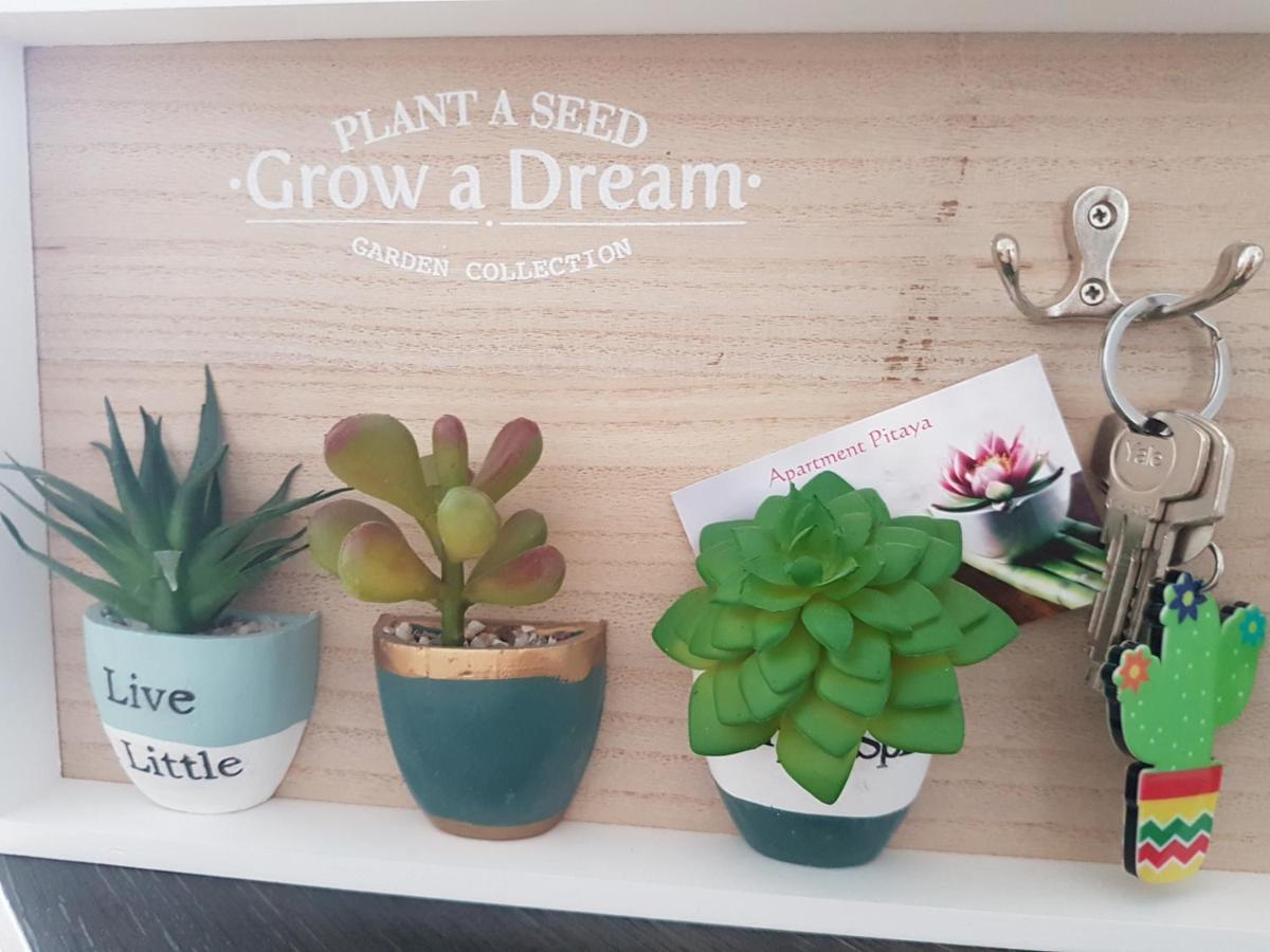 Apartment Pitaya プラヤ・デル・イングレス エクステリア 写真